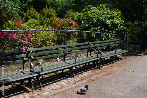 Photography Empty Wood Bench at Tompkins Square Park in the East Village of New York City wi