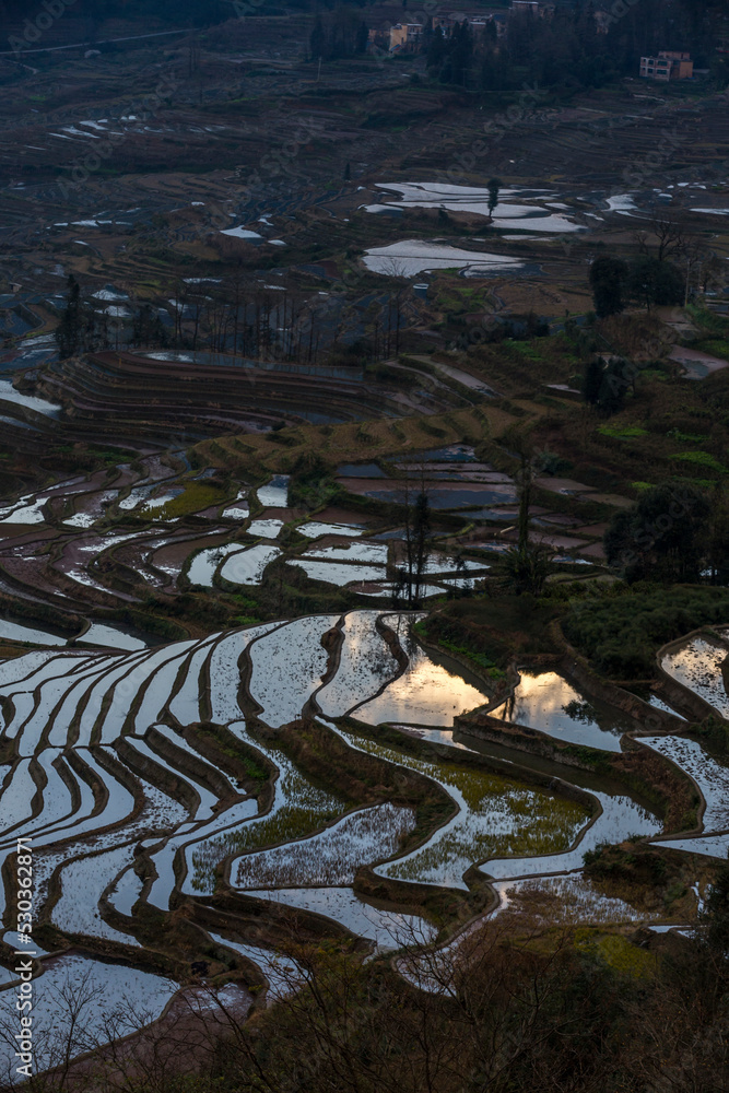 terraced fields In Yunnan China