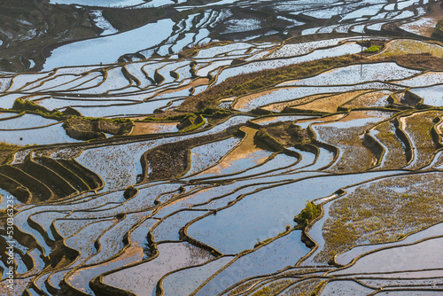 terraced fields In Yunnan China photo