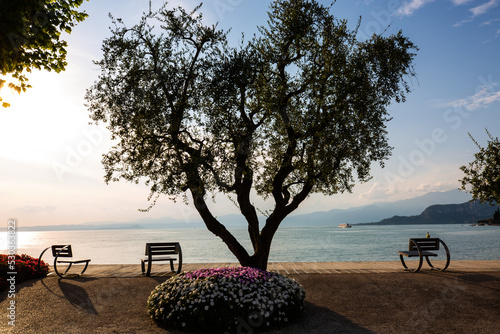 Seafront promenade in Bardolino on Lake Garda, with trees and flowers