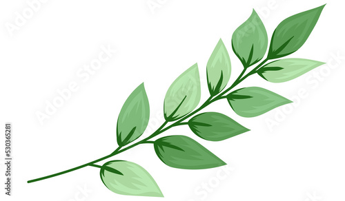 Elegant floral leaf background image