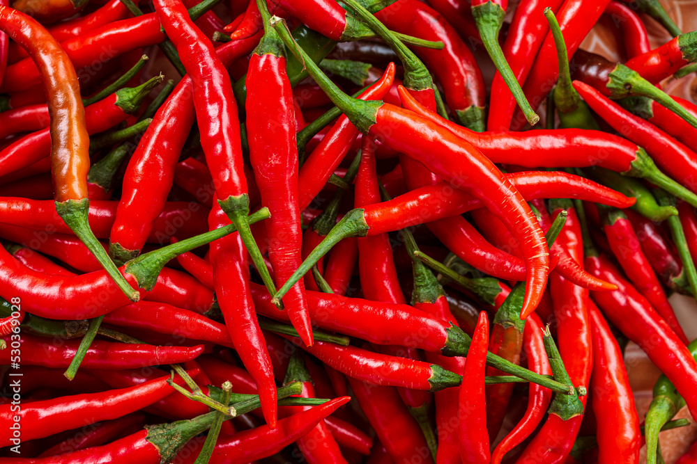 chili background,Red hot chili peppers pattern Chili texture background. Close up landscape background of hot chili peppers. Roadside vegetable market. Red chili group.