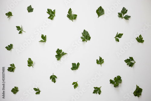 Parsley leaves on a white background isolated  with copy space.