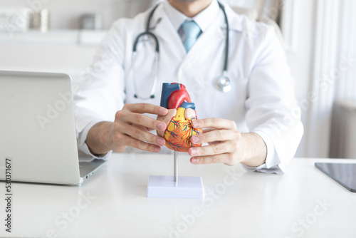 Fototapeta Close up photo of male doctor holding heart mockup in the office of clinic