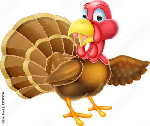 Cartoon Turkey Bird Pointing