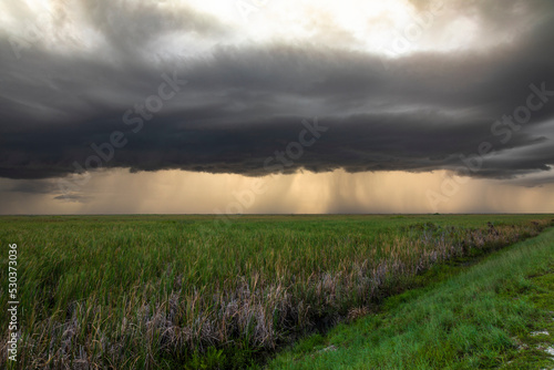 Storm at the Everglades National Park  Coral Springs  Florida  USA
