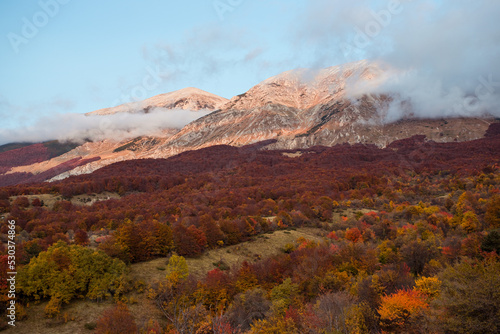 mountain landscape in autumn