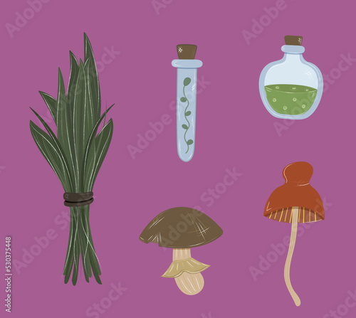 Witchcraft items isolated doodle set. Magical stickers clip art hand drawn mushrooms, plants, potions. Vector halloween illustration