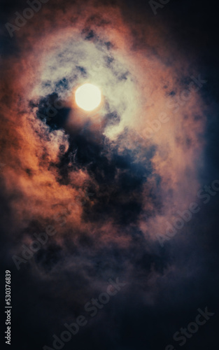 Wonderful coral from the sky 