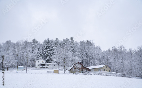 Amish home on a snowy hill surrounded by trees in winter in Holmes County, Ohio