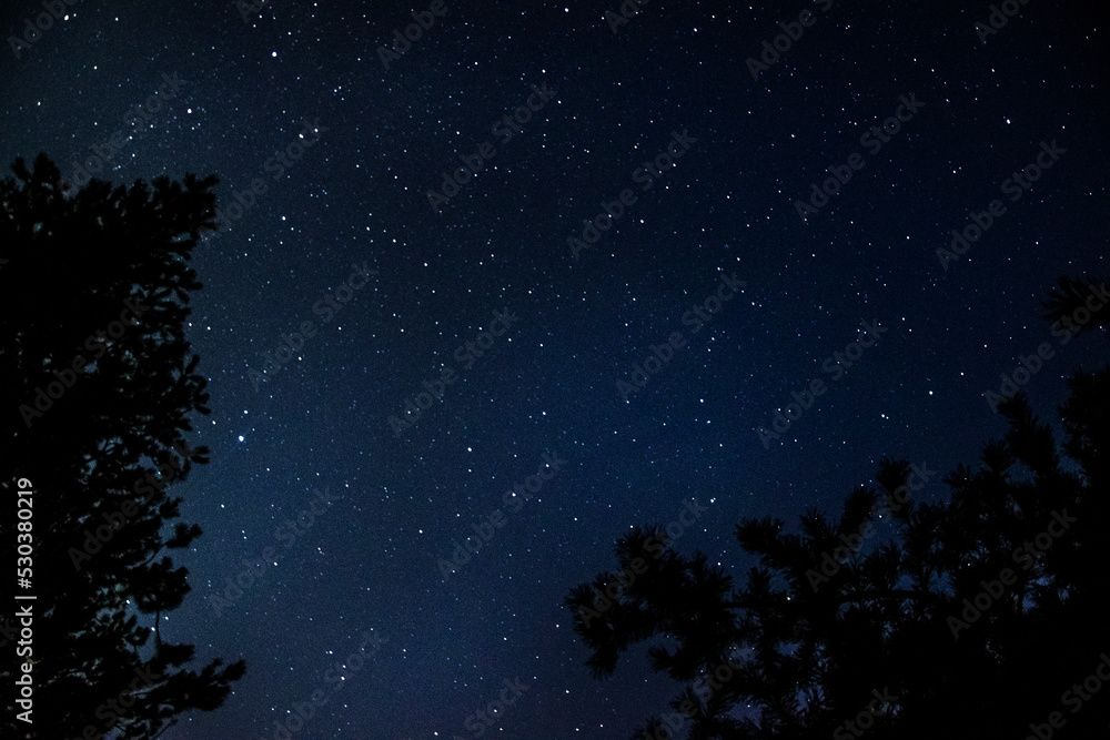 Landscape of night sky with stars 