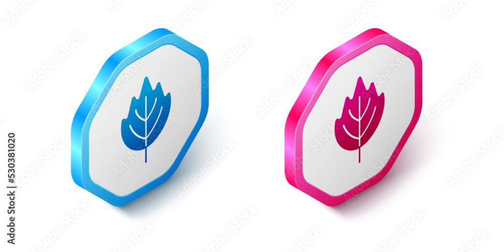Fototapeta premium Isometric Leaf icon isolated on white background. Leaves sign. Fresh natural product symbol. Hexagon button. Vector