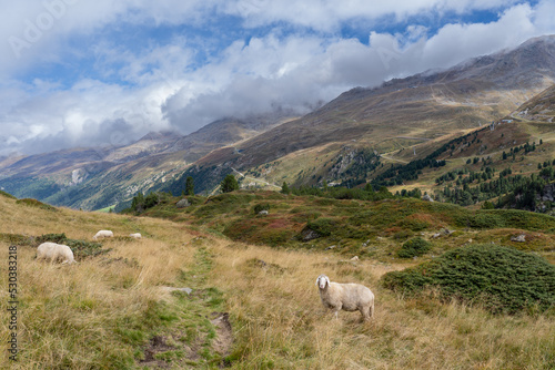 Ötztal im Sommer September