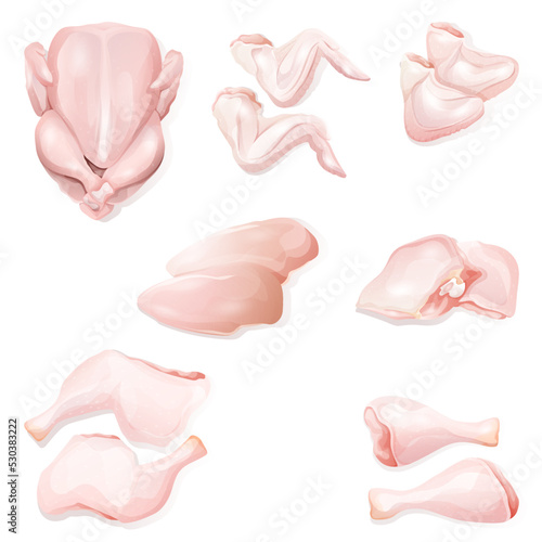 Vector illustration set of different types chicken meat raw portions fillet, thigh, breasts, wings and legs, drumsticks. Butcher shop, farmer market. Farm animal. 