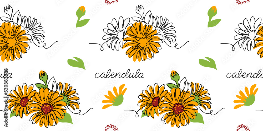 Calendula, marigold flower vector pattern, background for label design. One continuous line art drawing calendula pattern - obrazy, fototapety, plakaty 