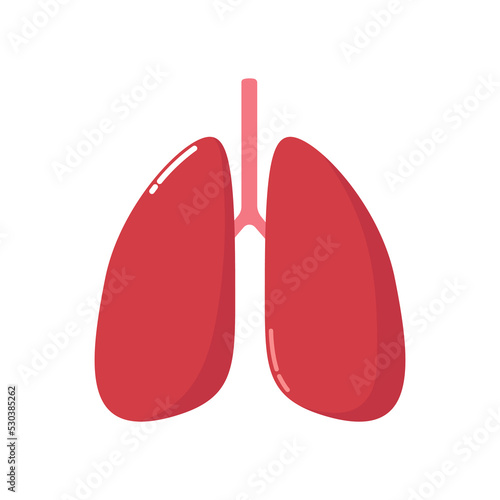 The lungs are organs of the human respiratory system. Human anatomy. Internal organs. Flat style. Vector illustration on a white background.