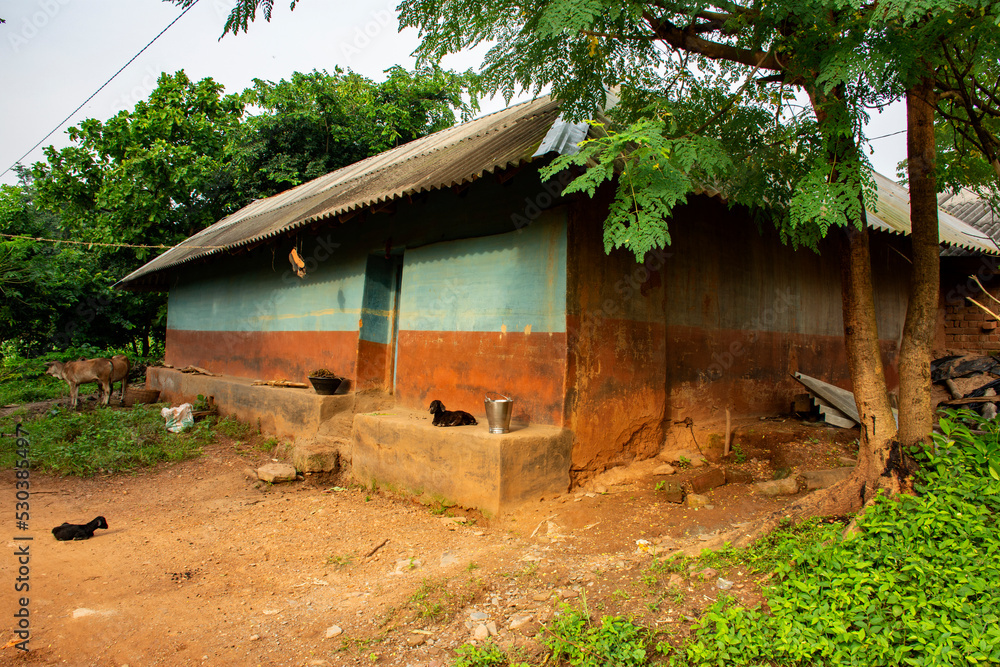 The houses in a tribal village of Bengal in India is made out of mud and are beautifully decorated paint with colours. The houses in a tribal village of Bengal in India is made out of mud and are beautifully decorated paint with colours.