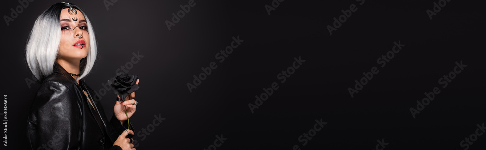 sexy woman in witch halloween costume holding dark rose isolated on black, banner. sexy woman in witch halloween costume holding dark rose isolated on black, banner.