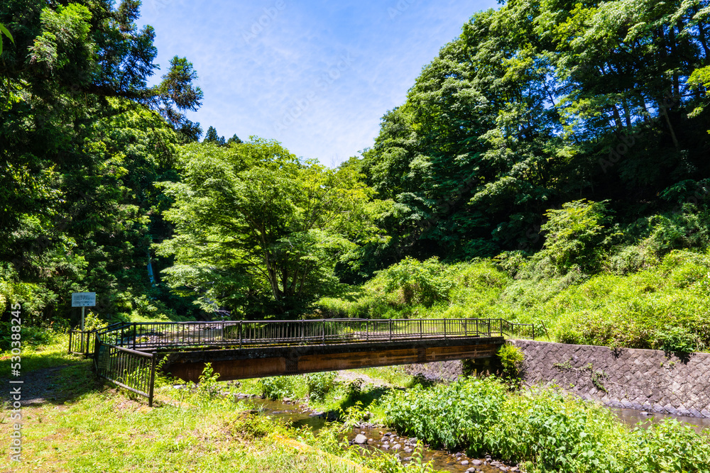 太郎次郎滝の新緑風景２０２２