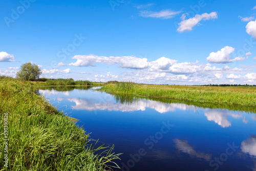 Clouds reflections the water. Wild river nature cloudscape summer day. Rushes by swamp and beautiful blue cloud sky.