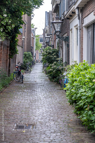 Fototapeta Naklejka Na Ścianę i Meble -  Leiden Netherlands, brick wall building, cobblestone path, parked bicycle, green plants. Vertical