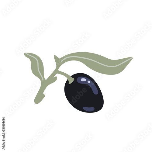 Olive tree branch with ripe fruits and leaves. Flat vector graphics.