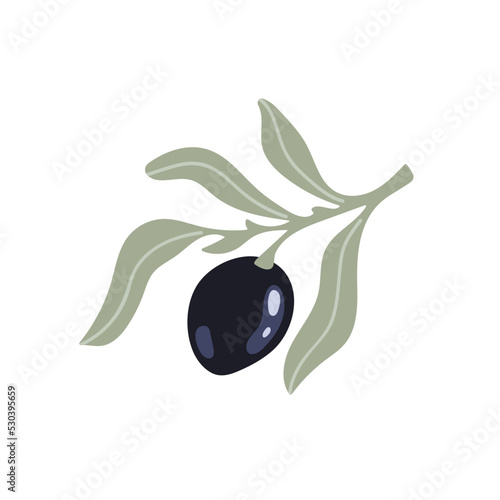Olive tree branch with ripe fruits and leaves. Flat vector graphics.