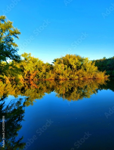 autumn in the park