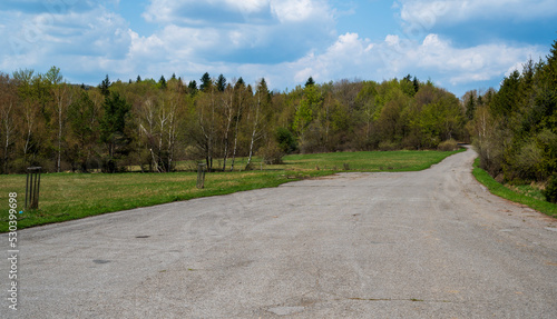 Asphalt road in forest with meadow.