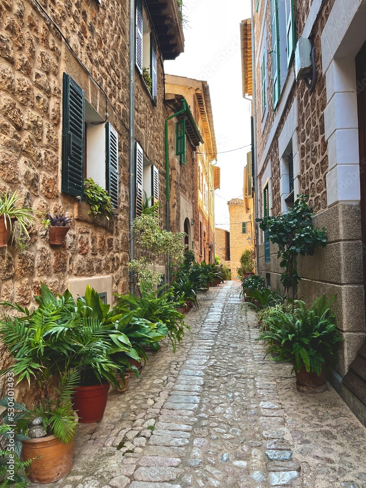 Fototapeta premium ruelle fornalutx