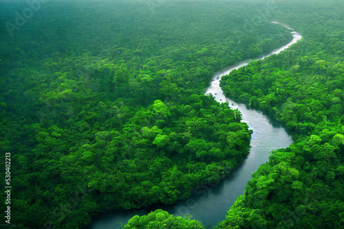 Fototapete Aerial view of the Amazonas jungle landscape with river bend