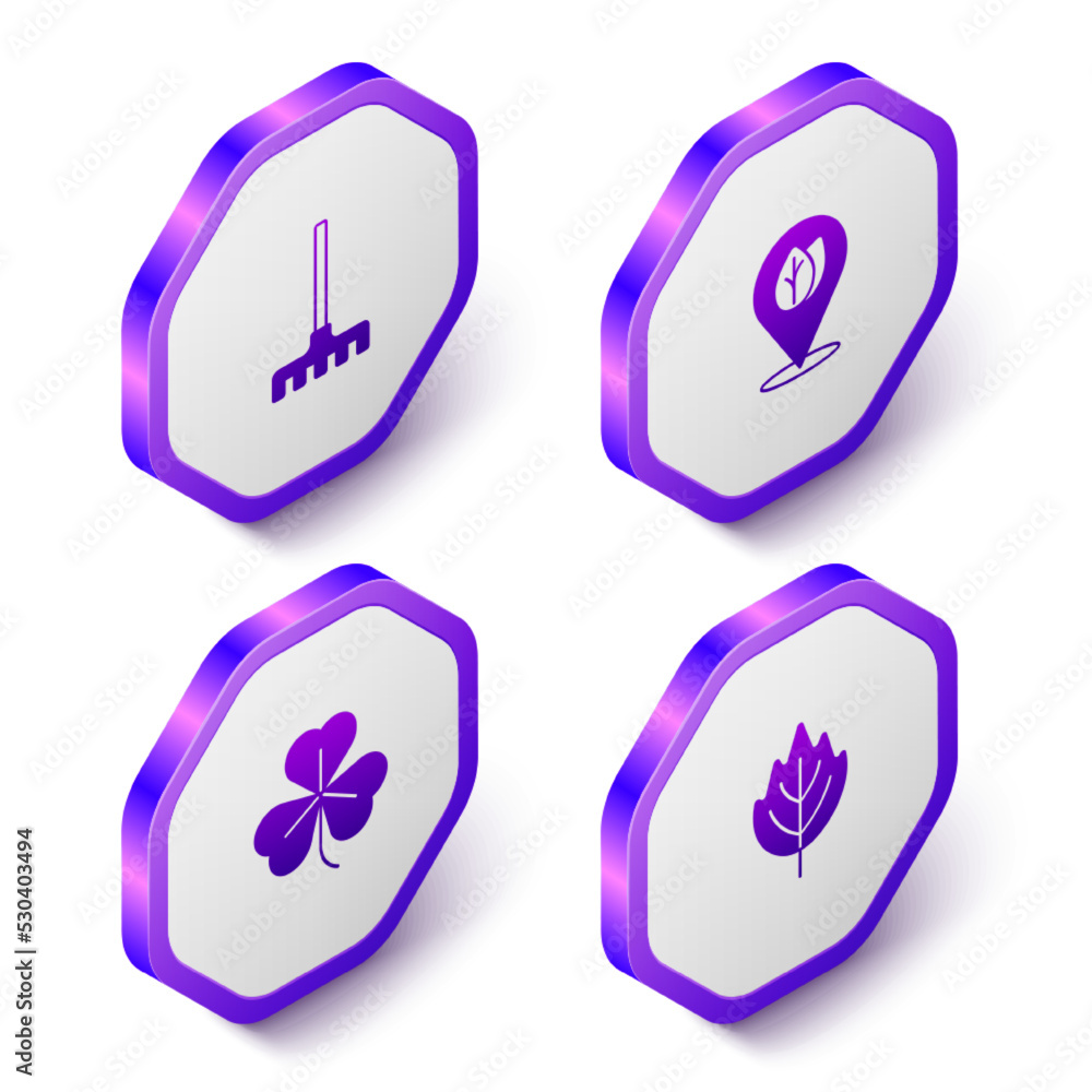 Set Isometric Garden rake, Location with leaf, Clover and Leaf icon. Purple hexagon button. Vector Set Isometric Garden rake, Location with leaf, Clover and Leaf icon. Purple hexagon button. Vector