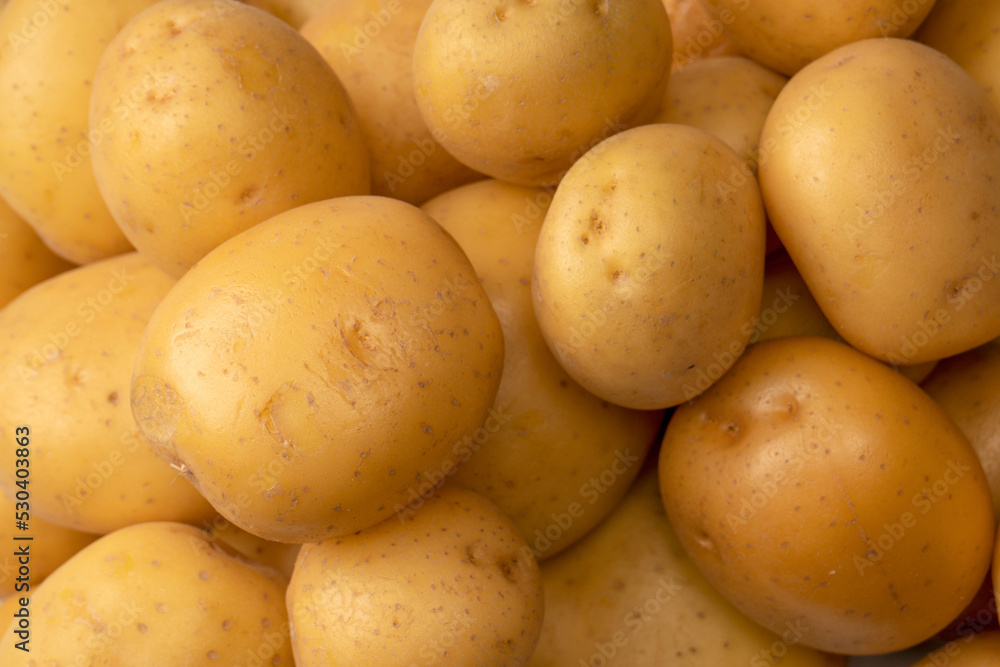 A group of fresh tasty potato as background. A group of fresh tasty potato as background.