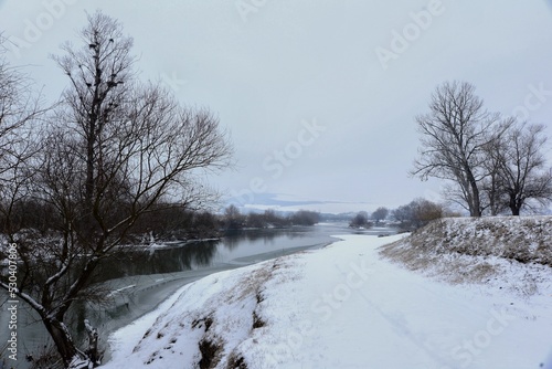 River Mures on a cold and grey winter day photo