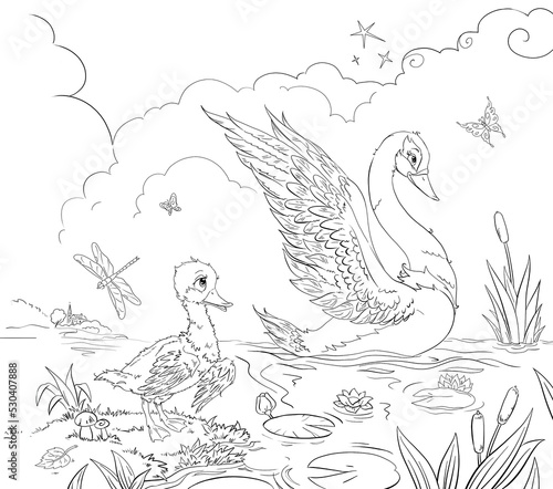 coloring book page with little sad ugly duckling looking at big beautiful swan