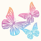 Butterflies, vector illustration. Colored butterflies on white background. 
