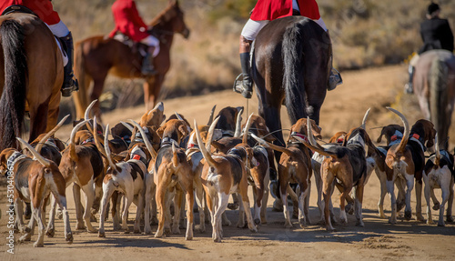 A fox hunting group heads out on a hunt photo