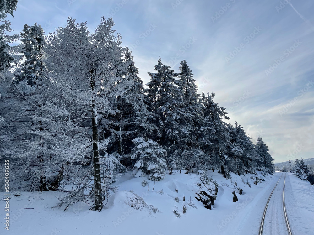 Fototapeta premium Nationalpark Harz Brocken Brockenbahn Schierke