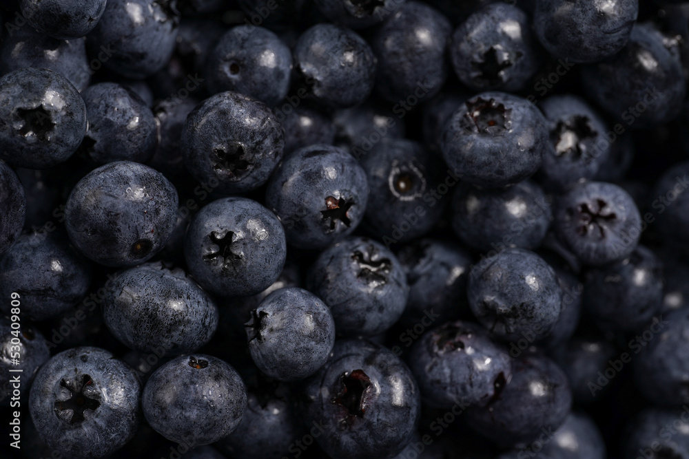 a heap of fresh ripe wet blueberries filling the frame, selective focus, top view, background a heap of fresh ripe wet blueberries filling the frame, selective focus, top view, background