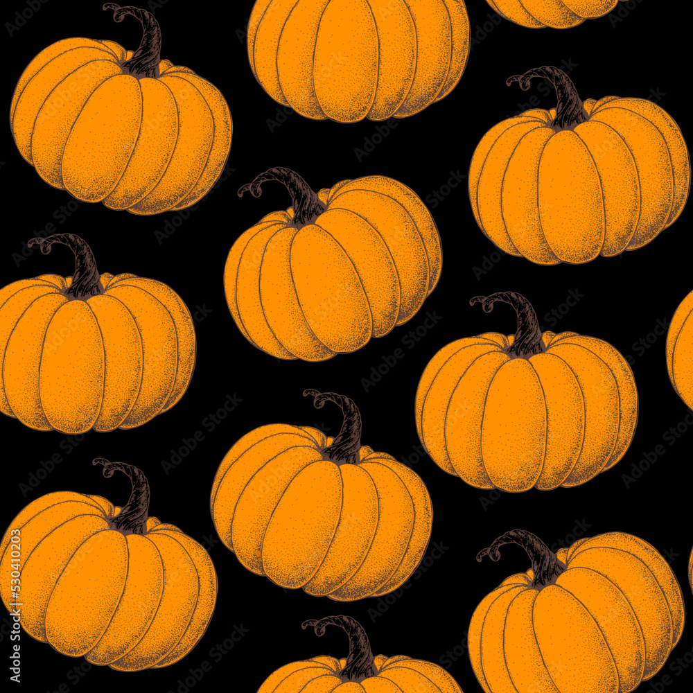 Pumpkin seamless pattern. Hand drawn background. Vector illustration. Color illustration. Pumpkin vegetable hand drawn backdrop.
