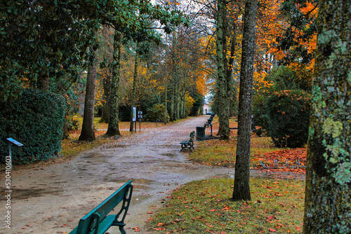 Autumn at Jardin Massey photo