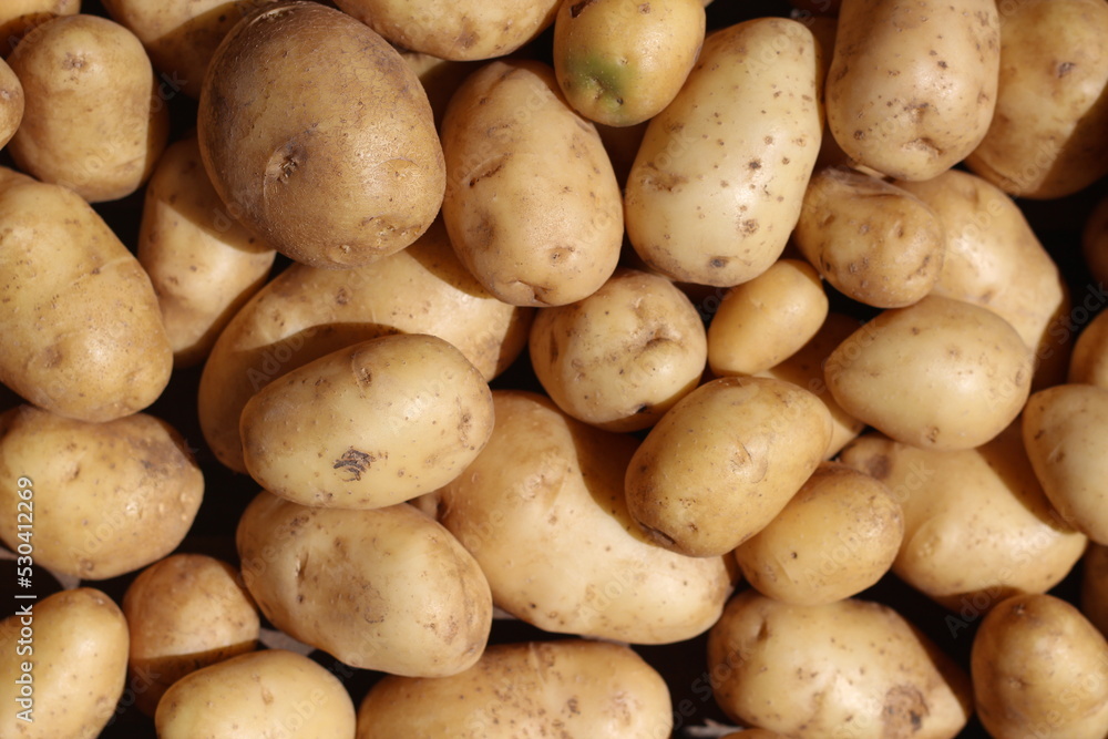 fruits potatoes closeup , background fruits potatoes closeup , background