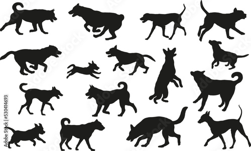 Group of dogs various breed. Black dog silhouette. Running  standing  walking  jumping  sniffing dogs. Isolated on a white background. Pet animals.