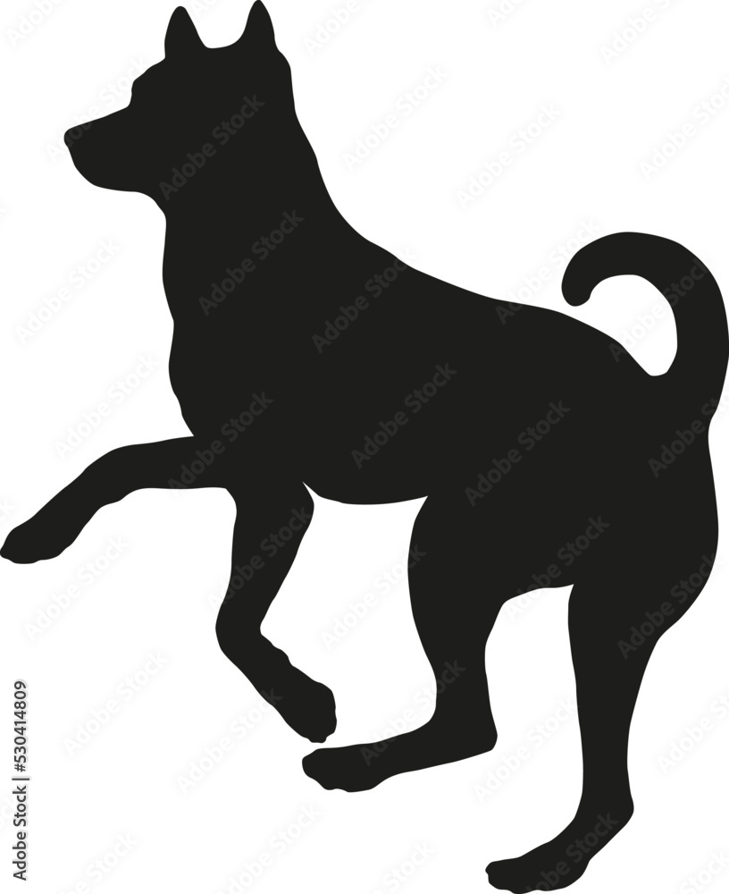 Black dog silhouette. Jumping african bush dog puppy. Basenji or congo dog. Pet animals. Isolated on a white background.
