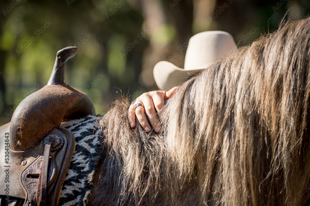 A cowgirl lays her hand over the mane of her horse. 