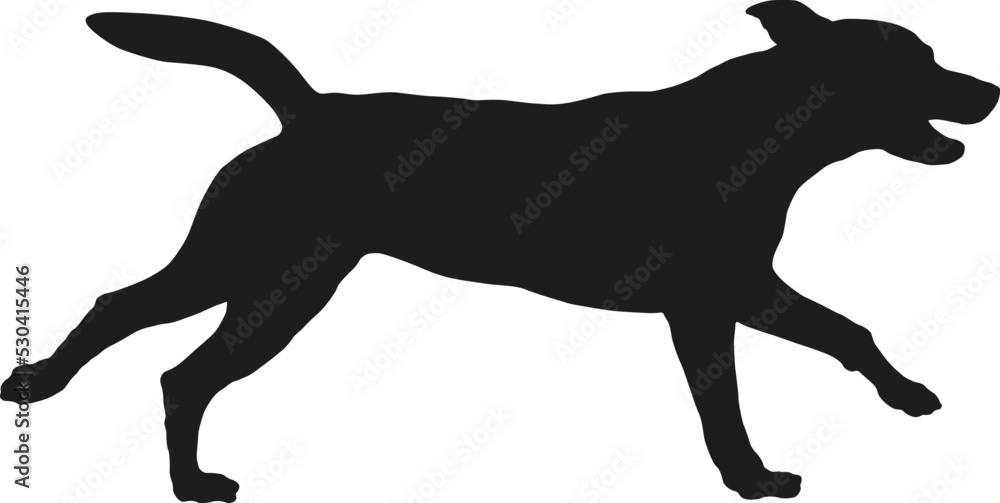 Running and jumping american pit bull terrier puppy. Black dog silhouette. Pet animals. Isolated on a white background.