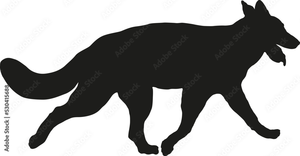 Black dog silhouette. Running white swiss shepherd dog puppy. Pet animals. Isolated on a white background.