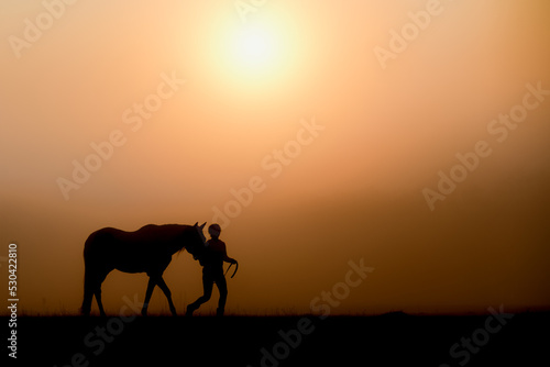 A horse is led through the fog just after sunrise. 