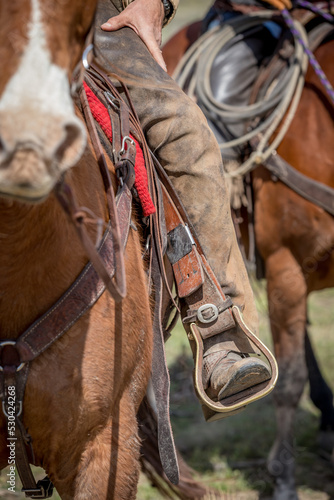 Close up of a riders leg and stirrup. 