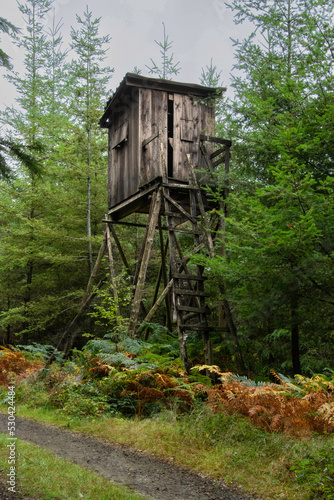 Un mirador de chasse dans la forêt des Ardennes © Roger